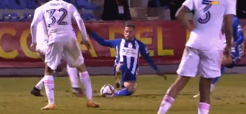 天津宁河七里海半程马拉松报名开放 将于4月20日开跑